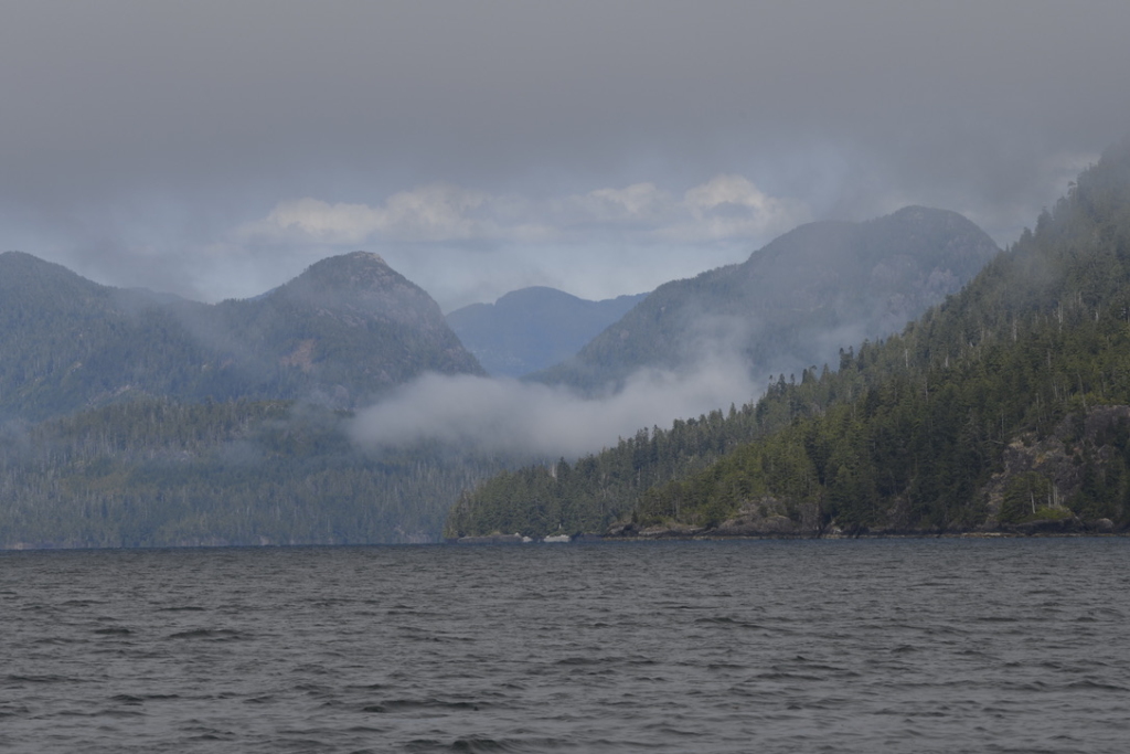 Kyuquot Channel, Kyuquot Sound