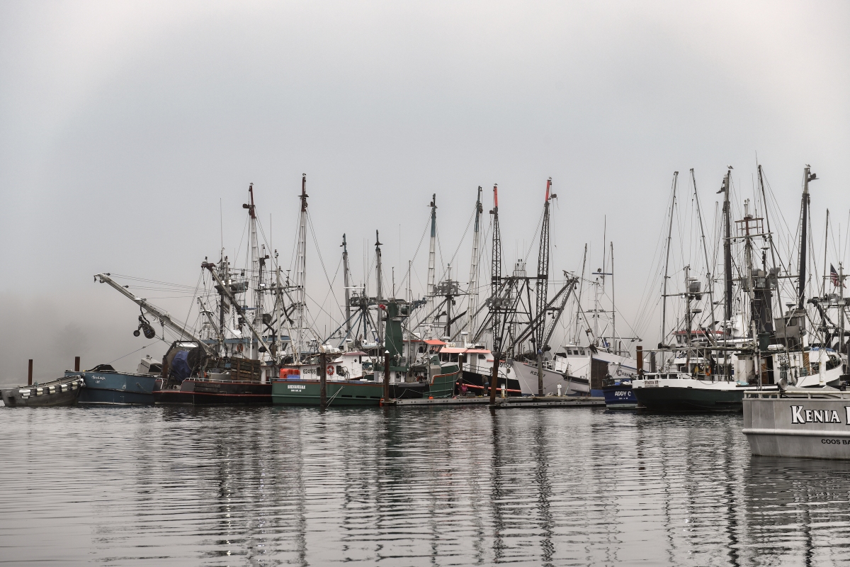 Oregon Fishing Fleet